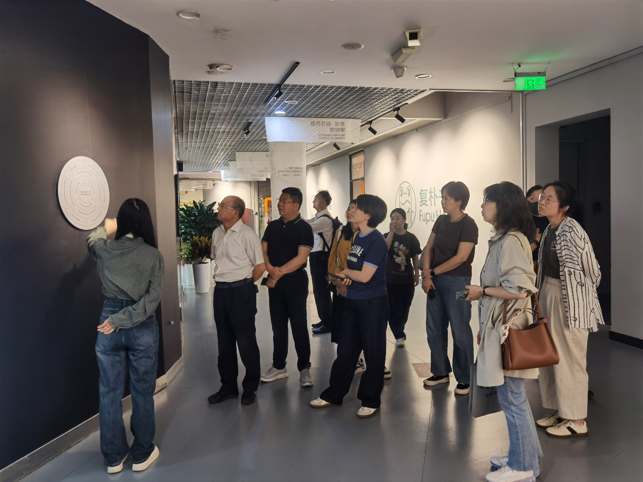 2026年国际足联世界杯