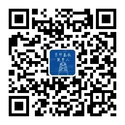 2026年国际足联世界杯