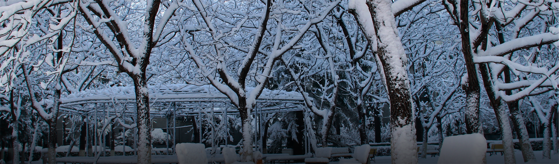 2026年国际足联世界杯