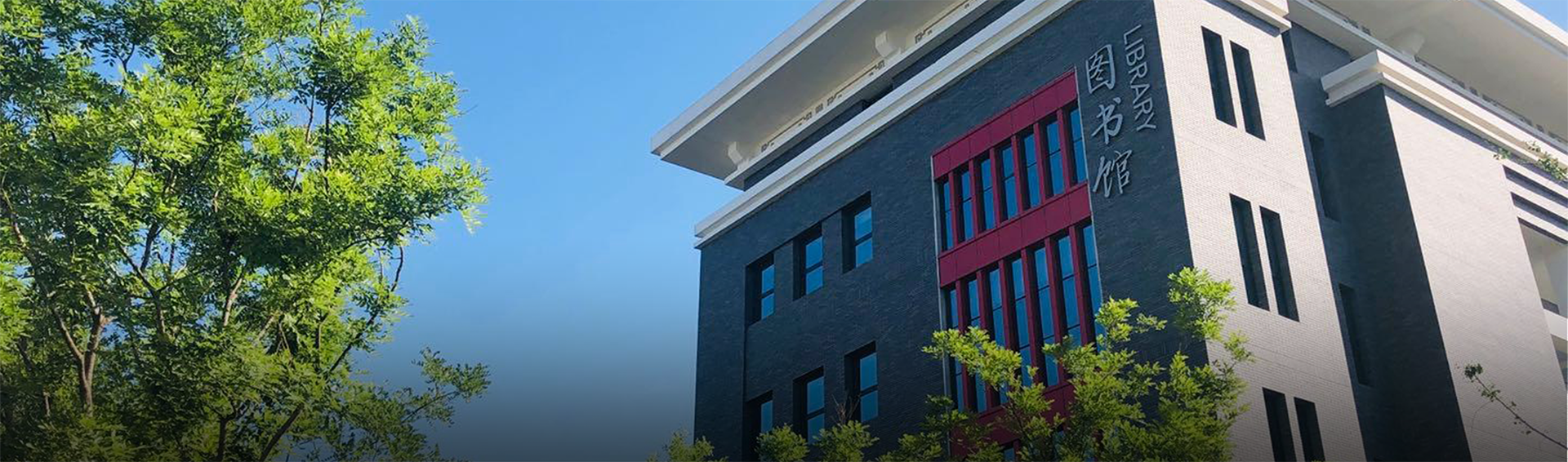 2026年国际足联世界杯