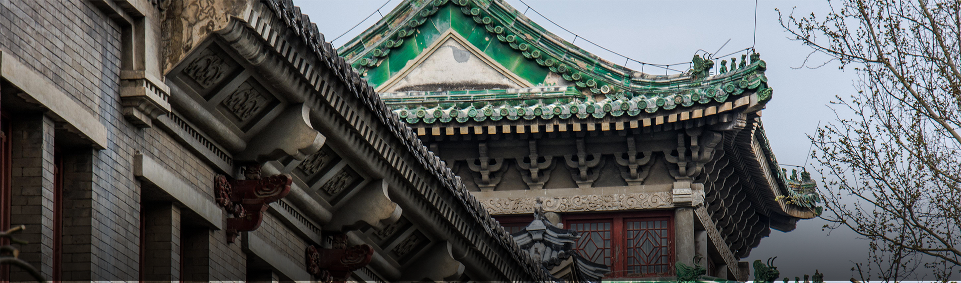 2026年国际足联世界杯